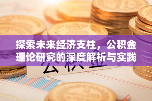 兴安探索未来经济支柱，公积金理论研究的深度解析与实践意义