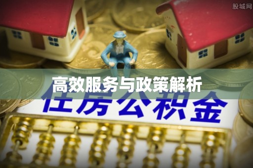 兴安高效服务与政策解析