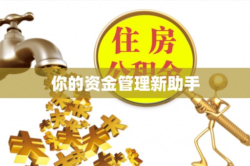 兴安你的资金管理新助手