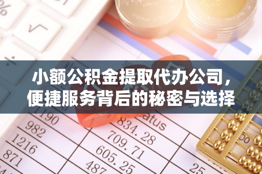 兴安小额公积金提取代办公司，便捷服务背后的秘密与选择指南