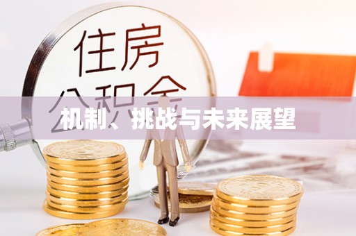 兴安机制、挑战与未来展望