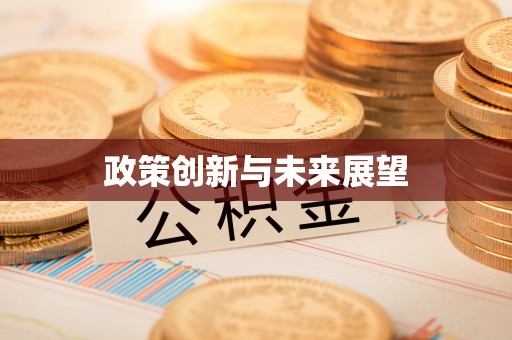 兴安政策创新与未来展望